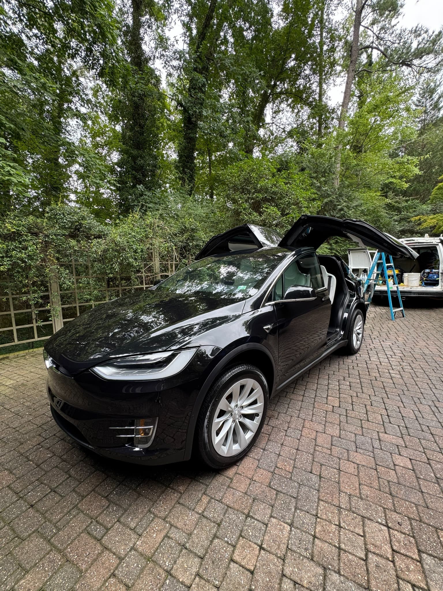 Black Tesla detailed by Precise Detailing